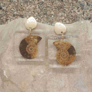 Ohrringe - elegant mit eingegosenen Ammoniten und eleganten goldfarbenen Ohrsteckern